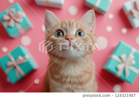 Adorable British Shorthair kitten surrounded by gifts, perfect for festive and playful celebrations 128321987