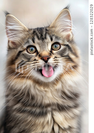 Maine Coon cat with playful tongue and adorable furry expression, perfect for pet lovers 128322029