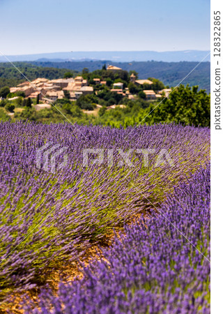 View of Entrevennes village, Provence France View of Entrevennes village, Provence France 128322865