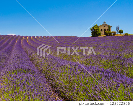 Lavender field and chapel at Entrevennes village, France 128322866