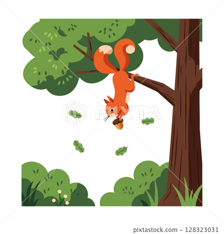 Red squirrel hanging upside down from tree branch with acorn in forest vector illustration Red squirrel hanging upside down from tree branch with acorn in forest vector illustration 128323031