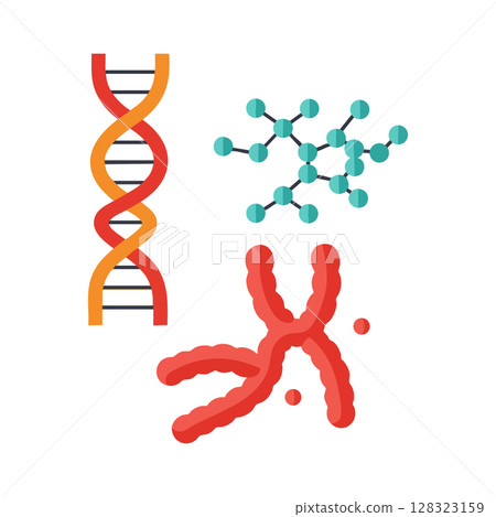 DNA double helix chromosome and molecular structure vector illustration for science education and research 128323159