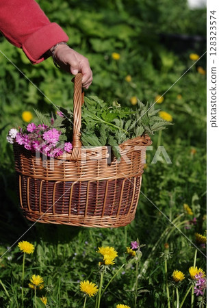 Person is holding a basket full of flowers and herbs in a field Person is holding a basket full of flowers and herbs in a field 128323574