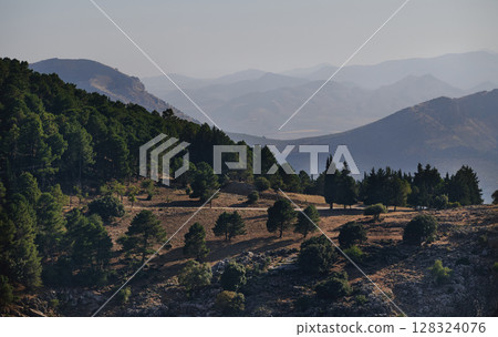 Scenic Mountain Landscape With Forested Hills and Clear Sky 128324076
