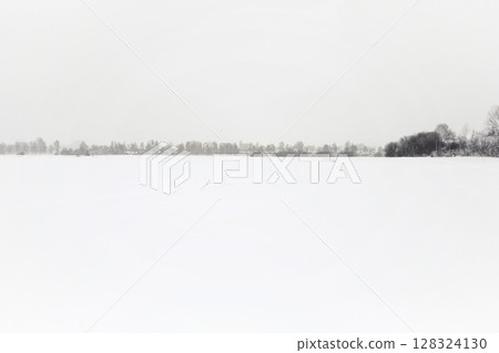 Snowy field with a few trees in the background Snowy field with a few trees in the background 128324130