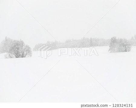 Snowy field with trees in the background 128324131