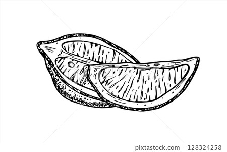 Vertically cut lemon wedges vector illustration painted by black inks. Monochrome summer juicy citrus fruit graphic sketch for cocktail menu, fresh beverage, bar signage, drink packaging design. 128324258