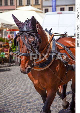 Horse and Carriage on Cobblestone 128324608