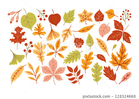 Set of autumn leaves, fallen leaves, hand drawn Set of autumn leaves, fallen leaves, hand drawn 128324668