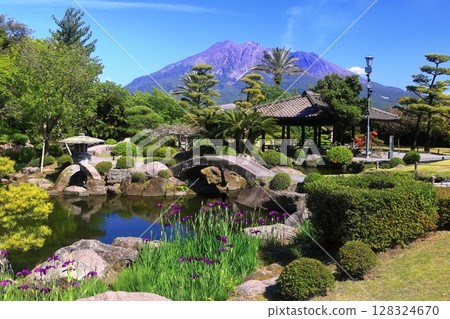 [鹿兒島縣]晴天從名勝仙岩園看到的櫻島 128324670