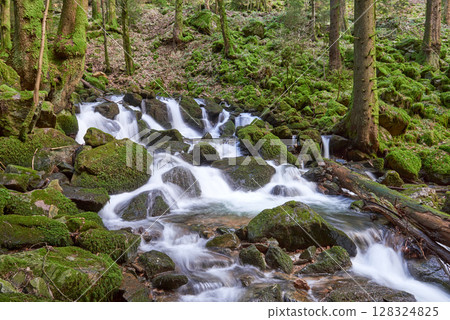 Misty Allerheiligen Waterfalls in Black Forest National Park, Germany. Scenic forest waterfall Allerheiligen Waterfalls in National Park SCHWARZWALD, Germany. Long exposure shot of a cascading Misty Allerheiligen Waterfalls in Black Forest National Park, Germany. Scenic forest waterfall Allerheiligen Waterfalls in National Park SCHWARZWALD, Germany. Long exposure shot of a cascading 128324825