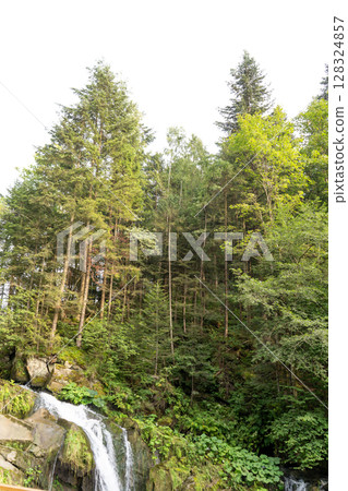 Mountain waterfall in the forest. Green nature. Mountain waterfall in the forest. Green nature. 128324857