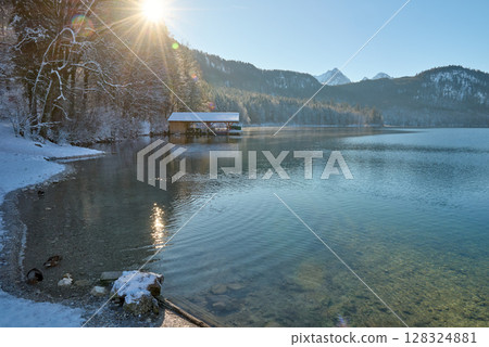 Serene Winter Wonderland: Two Graceful Swans Glide Across Icy Lake Surface Bathed in Golden Sunlight Pristine Frozen Landscape Showcases Nature's Tranquil Beauty on Crisp Winter Day 128324881