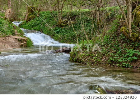 Serene Woodland Stream Meanders Through Lush Spring Forest With Gravel Path And Verdant Canopy Capturing Nature's Tranquil Beauty. 128324920