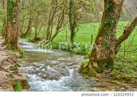 Rushing Turquoise Stream Flowing Through Lush Greenery with Frothy White Water Surrounded by Verdant Plants and Grasses in a Serene Natural Setting. 128324952