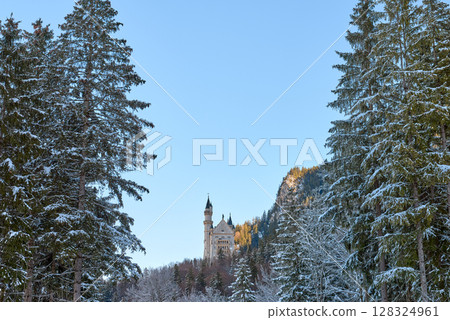 Large tree with snow and Neuschwanstein Castle in the background, capturing a serene winter scene with a Gothic castle in the distance, showcasing a picturesque and tranquil atmosphere. Large tree with snow and Neuschwanstein Castle in the background, capturing a serene winter scene with a Gothic castle in the distance, showcasing a picturesque and tranquil atmosphere. 128324961