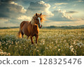 Graceful horse standing in a serene meadow under a colorful evening sky 128325476