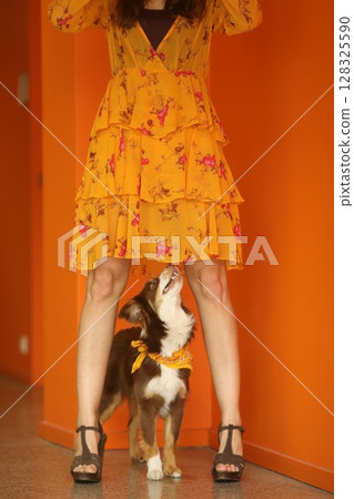 Woman in a yellow dress is standing next to a dog 128325590