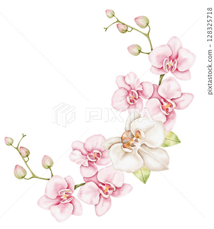 Watercolor floral corner composition with camellias and orchids in soft pink tones. Hand painted bouquet perfect for wedding invitations, print design and elegant paper crafts. Watercolor floral corner composition with camellias and orchids in soft pink tones. Hand painted bouquet perfect for wedding invitations, print design and elegant paper crafts. 128325718