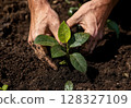 Hands carefully nurture a young plant in fertile soil, emphasizing commitment to environment and sustainability in natural light. 128327109
