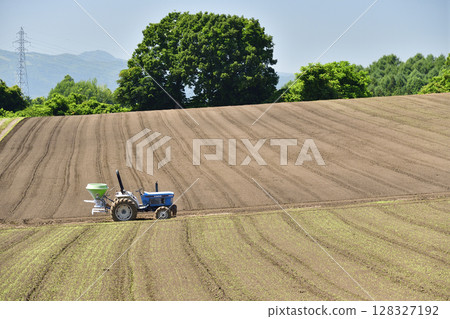 夏季在北海道函館拍攝播種過程 128327192