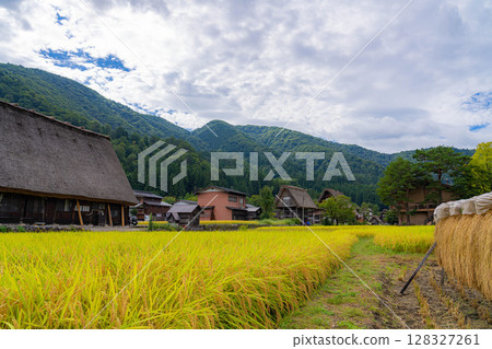 [World Heritage] Shirakawa-go in early autumn with ripe rice [Gifu Prefecture] 128327261