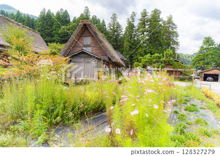 [World Heritage] Shirakawa-go in early autumn with ripe rice [Gifu Prefecture] 128327279