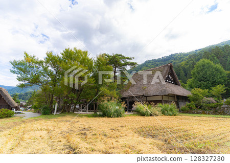 [World Heritage] Shirakawa-go in early autumn with ripe rice [Gifu Prefecture] 128327280