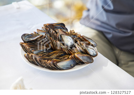 clam shells clam shells 128327527