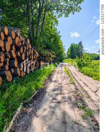 Piles logs of pine trees stacked in logging area in summer forest. Deforestation and forest destruction concept. Timber harvesting. pine tree stack 128327706