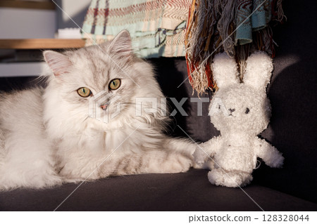 A Curious Cat with Striking Green Eyes Relaxing Next to a Cute Plush Bunny Toy on a Cozy Couch Bathed in Natural Light from a Window in a Welcoming Living Room Setting 128328044