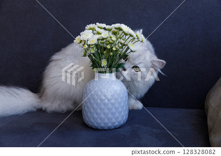 Curious Cat Exploring Beautiful Fresh Flowers in a Stylish White Vase on a Cozy Sofa Setting, Capturing a Charming Moment of Nature and Feline Fascination 128328082
