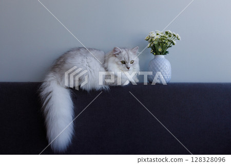 A Charming Cat Relaxing on a Sofa Next to a Delicate Vase of Flowers, Showcasing a Cozy Home Atmosphere with a Serene Color Palette 128328096
