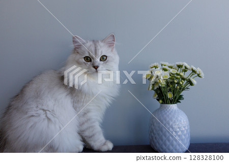 Adorable Cat Posing Elegantly Next to a Charming Bouquet of Flowers That Brightens the Room with Its Delicate Beauty and Soft Color Palette Adorable Cat Posing Elegantly Next to a Charming Bouquet of Flowers That Brightens the Room with Its Delicate Beauty and Soft Color Palette 128328100