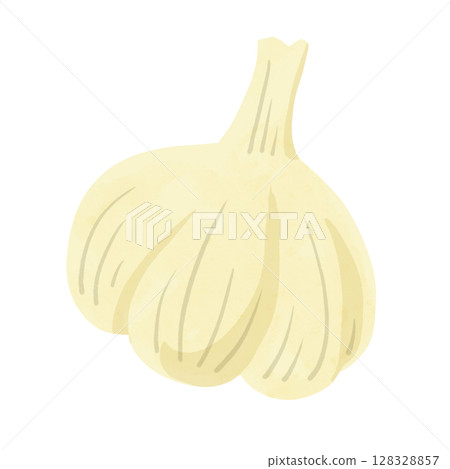 大蒜水彩手繪插畫 大蒜水彩手繪插畫 128328857