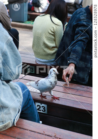 A pigeon approaches a person offering food in a bustling environment, showcasing interaction between humans and wildlife in an urban setting amidst casual gatherings. A pigeon approaches a person offering food in a bustling environment, showcasing interaction between humans and wildlife in an urban setting amidst casual gatherings. 128328978
