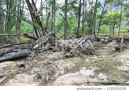 Flood damage at the Capertee River in the Wollemi National Park 128329150