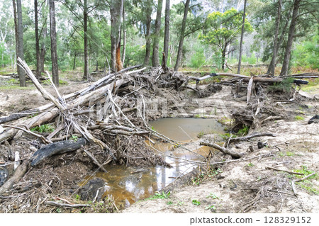 Flood damage at the Capertee River in the Wollemi National Park 128329152