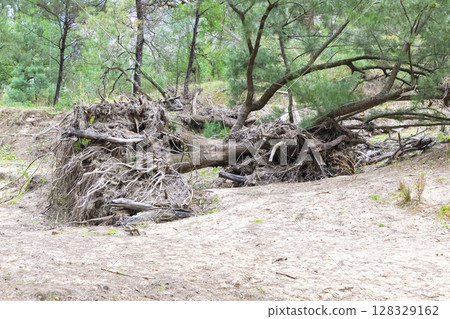 Flood damage at the Capertee River in the Wollemi National Park 128329162