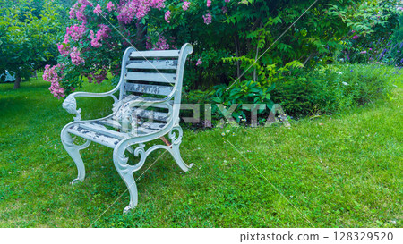 Charming Vintage Iron Garden Bench Amidst Vibrant Blooming Flowers and Lush Greenery Perfect for Relaxation and Enjoying Nature in Tranquil Outdoor Setting 128329520