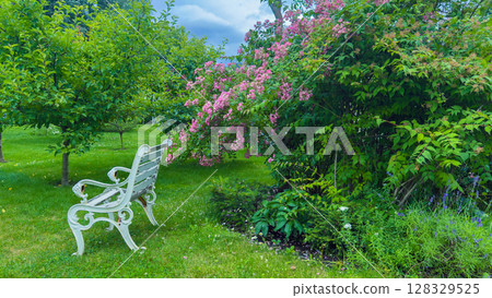Inviting Garden Scene with a Charming White Bench Surrounded by Lush Greenery and Beautiful Pink Blossoms Under a Cloudy Sky 128329525