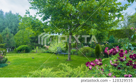 A Serene Garden Paradise: Lush Greenery and Vibrant Flowers Create a Peaceful Retreat for Nature Lovers and Garden Enthusiasts in This Captivating Outdoor Space A Serene Garden Paradise: Lush Greenery and Vibrant Flowers Create a Peaceful Retreat for Nature Lovers and Garden Enthusiasts in This Captivating Outdoor Space 128329555