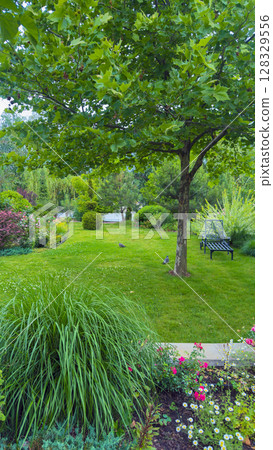 A Serene Garden Retreat with Lush Greenery, Vibrant Flowers, and a Tranquil Seating Area Perfect for Relaxation and Enjoying Nature's Beauty, Ideal for Garden Lovers and Nature Enthusiasts A Serene Garden Retreat with Lush Greenery, Vibrant Flowers, and a Tranquil Seating Area Perfect for Relaxation and Enjoying Nature's Beauty, Ideal for Garden Lovers and Nature Enthusiasts 128329556