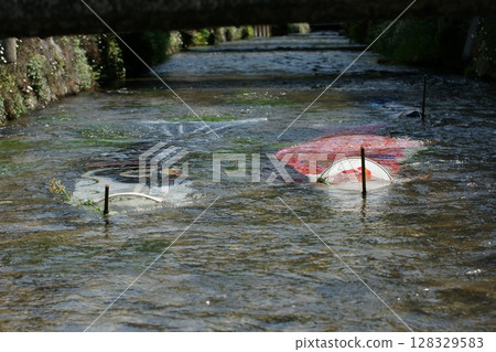 鳥取、四季漫步、鯉魚旗河、瀨戶川 鳥取、四季漫步、鯉魚旗河、瀨戶川 128329583