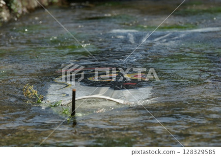 Tottori - Four Seasons Walk - Seto River, where carp streamers fly 128329585