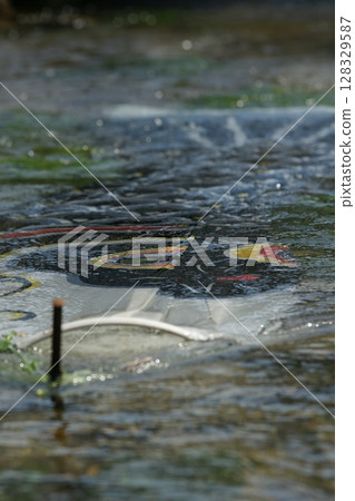 鳥取、四季漫步、鯉魚旗河、瀨戶川 鳥取、四季漫步、鯉魚旗河、瀨戶川 128329587