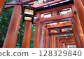 黃昏時分，伏見稻荷大社的紅色鳥居與燈籠 128329840