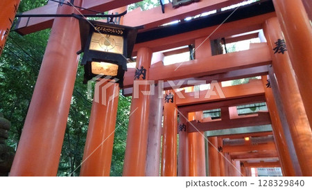 黃昏時分，伏見稻荷大社的紅色鳥居與燈籠 128329840