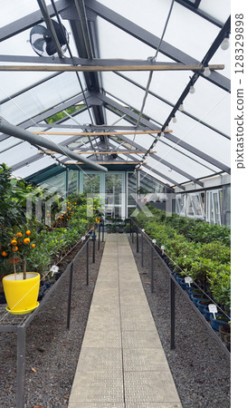 Beautiful Greenhouse Interior Showcasing a Lush Array of Potted Plants with a Pathway Perfect for Exploring Various Floral Plant Species and Stunning Greenery Options Beautiful Greenhouse Interior Showcasing a Lush Array of Potted Plants with a Pathway Perfect for Exploring Various Floral Plant Species and Stunning Greenery Options 128329898