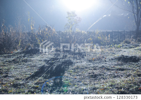 Misty Night Landscape with Glowing Light and Gentle Rainfall Over Grassy Ground Surrounded by Natural Decor and Vegetation in a Tranquil Outdoor Environment 128330173